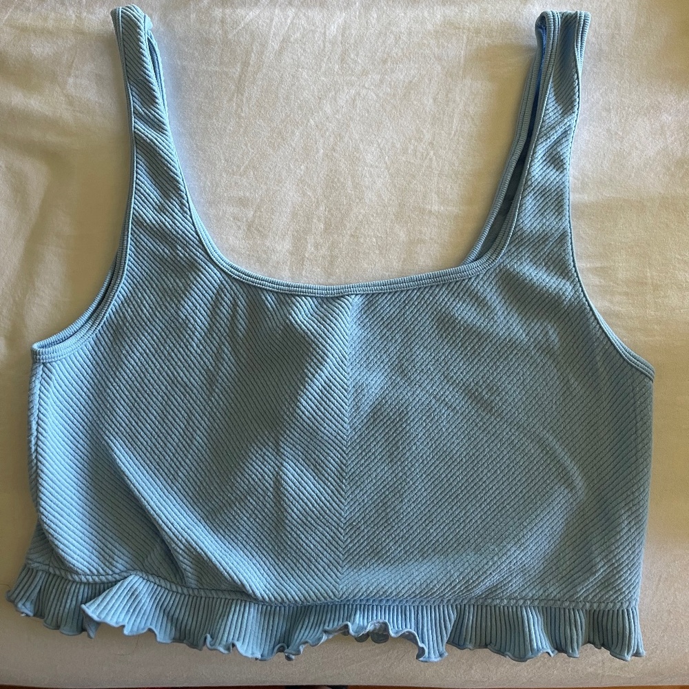 Zara Baby Blue Crop Top